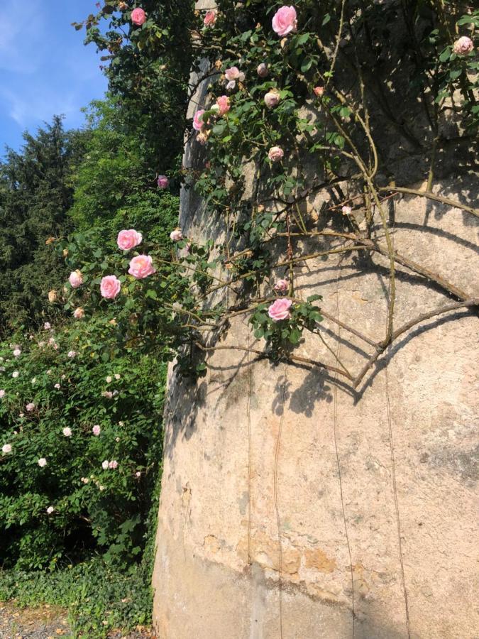 Saint-Sulpice-en-Pareds Chateau De La Mothe المظهر الخارجي الصورة